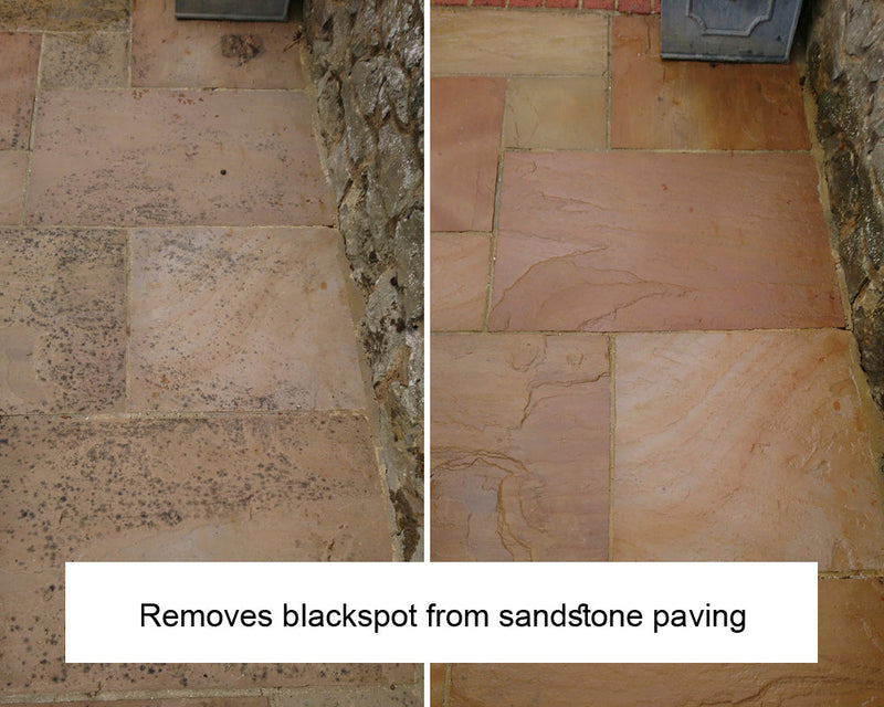 Load image into Gallery viewer, LTP Ecoprotec Black Spot & Algae Remover - 5L