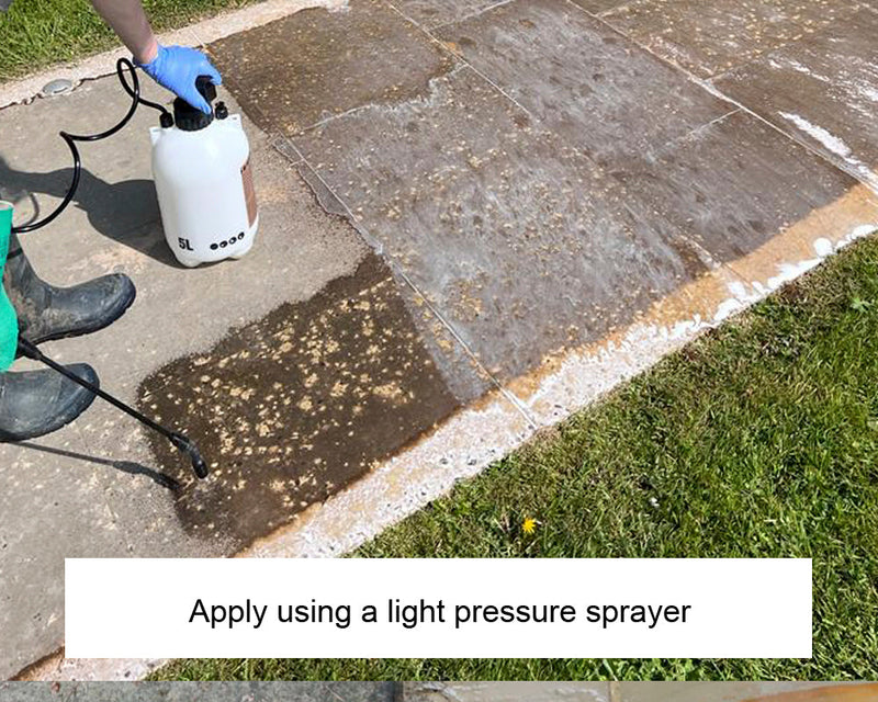 Load image into Gallery viewer, LTP Ecoprotec Black Spot & Algae Remover - 5L