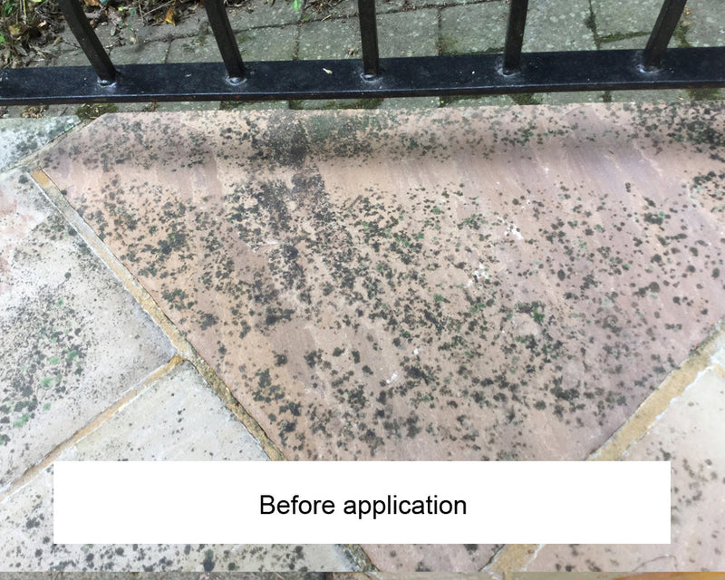 Load image into Gallery viewer, LTP Ecoprotec Black Spot & Algae Remover - 5L