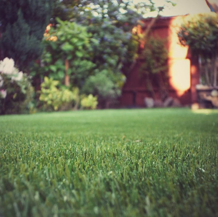Should I buy artificial grass?
