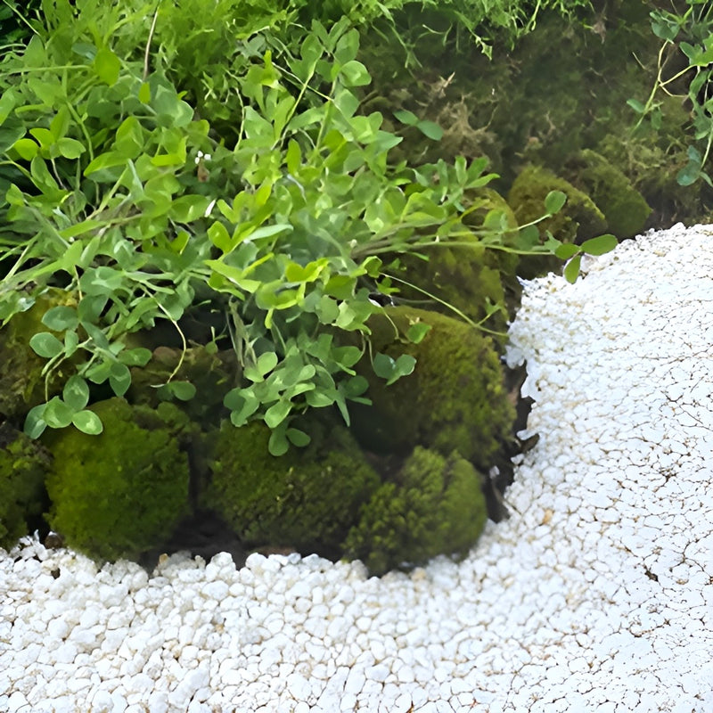 Load image into Gallery viewer, Arctic White 10mm - Bulk Bag
