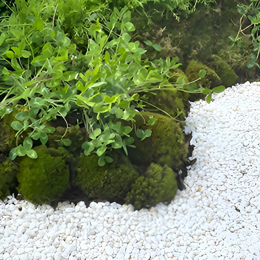 Arctic White 10mm - Maxi Bag - 20kg