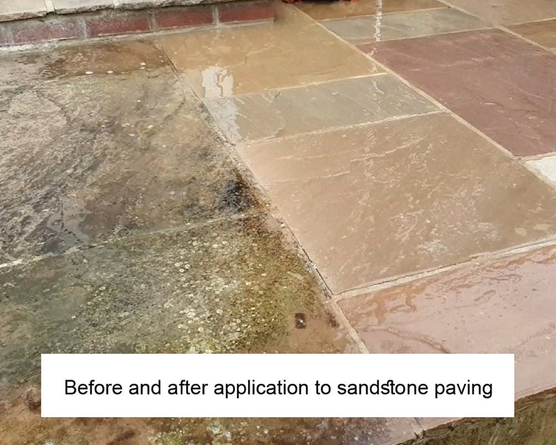 Load image into Gallery viewer, LTP Ecoprotec Black Spot &amp; Algae Remover - 5L
