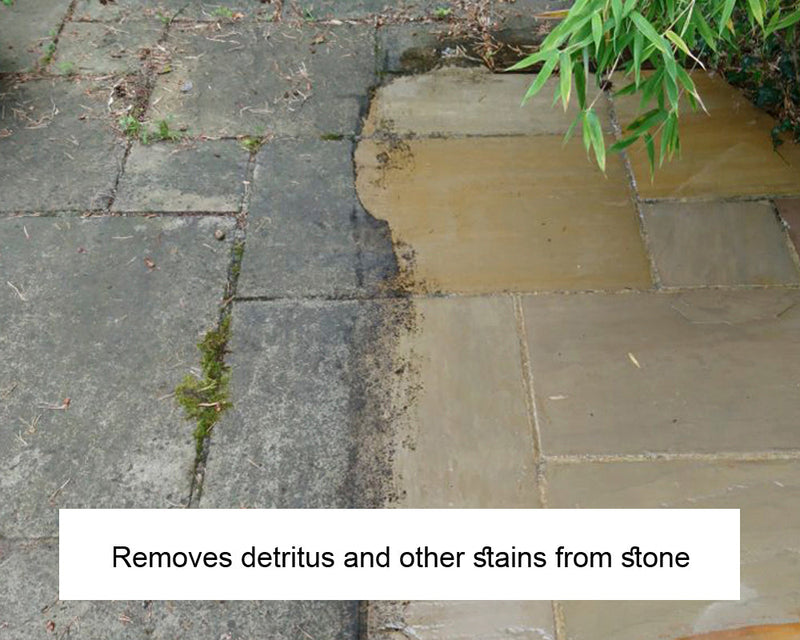 Load image into Gallery viewer, LTP Ecoprotec Black Spot &amp; Algae Remover - 5L
