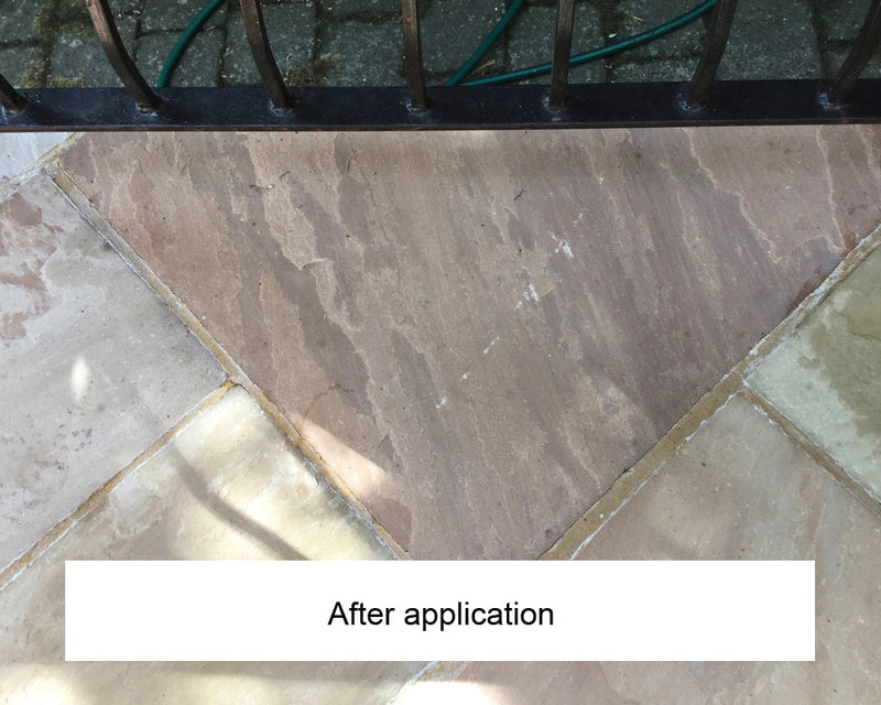 Load image into Gallery viewer, LTP Ecoprotec Black Spot &amp; Algae Remover - 5L
